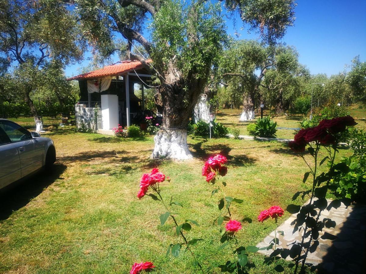 Cristi Apartments Skala Rachoni  外观 照片