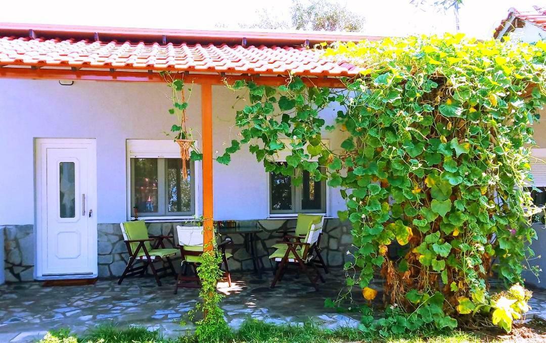 Cristi Apartments Skala Rachoni  外观 照片